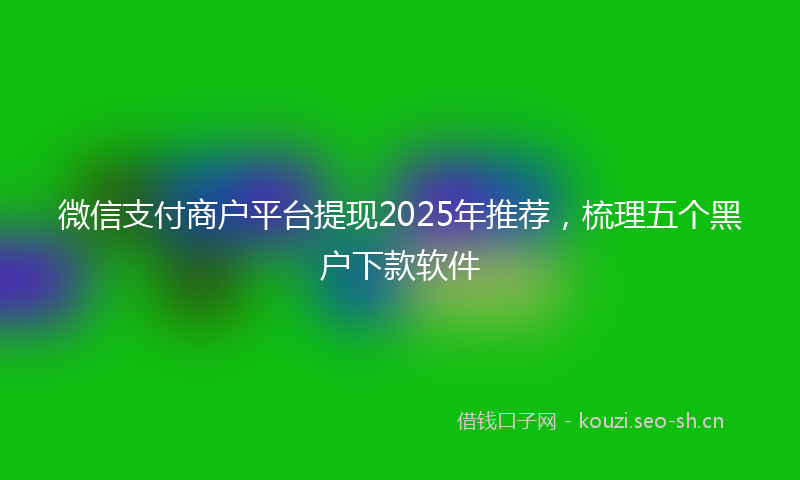 微信支付商户平台提现2025年推荐,梳理五个黑户下款软件