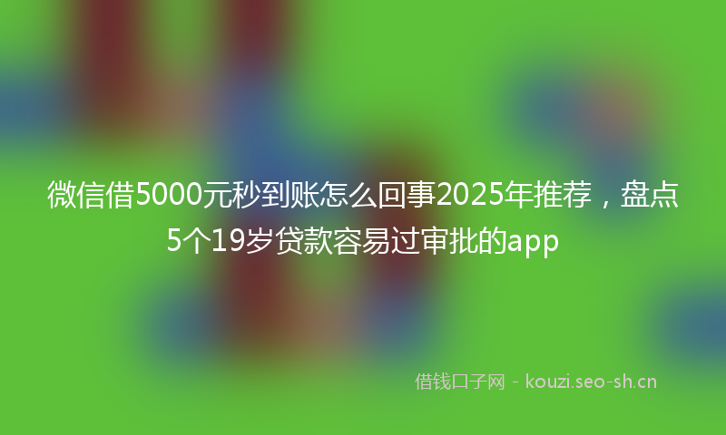 微信借5000元秒到账怎么回事2025年推荐，盘点5个19岁贷款容易过审批的app