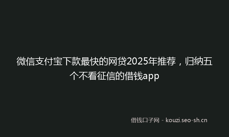 微信支付宝下款最快的网贷2025年推荐，归纳五个不看征信的借钱app