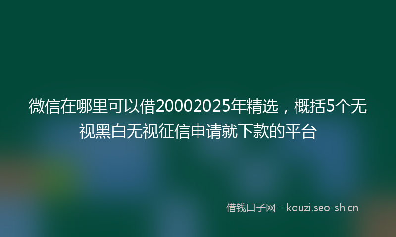 微信在哪里可以借20002025年精选，概括5个无视黑白无视征信申请就下款的平台