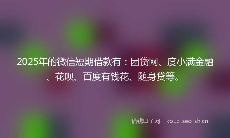 2025年的微信短期借款有：团贷网、度小满金融、花呗、百度有钱花、随身贷等。