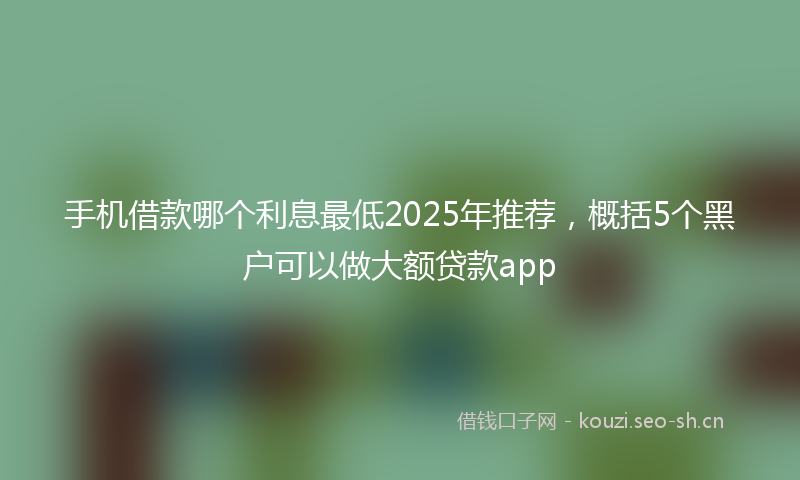 手机借款哪个利息最低2025年推荐，概括5个黑户可以做大额贷款app
