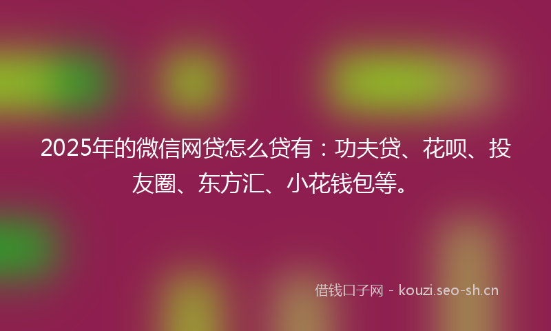 2025年的微信网贷怎么贷有：功夫贷、花呗、投友圈、东方汇、小花钱包等。