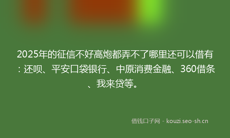 2025年的征信不好高炮都弄不了哪里还可以借有：还呗、平安口袋银行、中原消费金融、360借条、我来贷等。