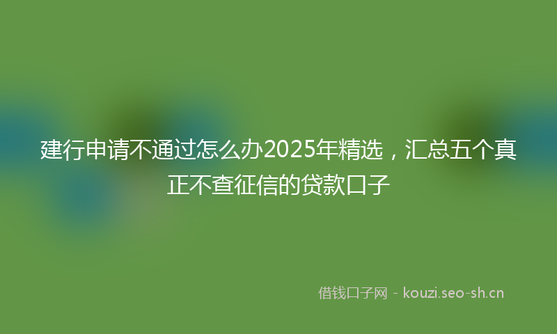 建行申请不通过怎么办2025年精选，汇总五个真正不查征信的贷款口子