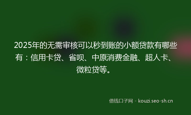 2025年的无需审核可以秒到账的小额贷款有哪些有：信用卡贷、省呗、中原消费金融、超人卡、微粒贷等。