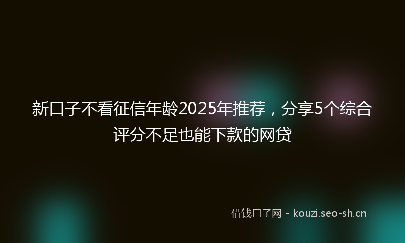 新口子不看征信年龄2025年推荐，分享5个综合评分不足也能下款的网贷