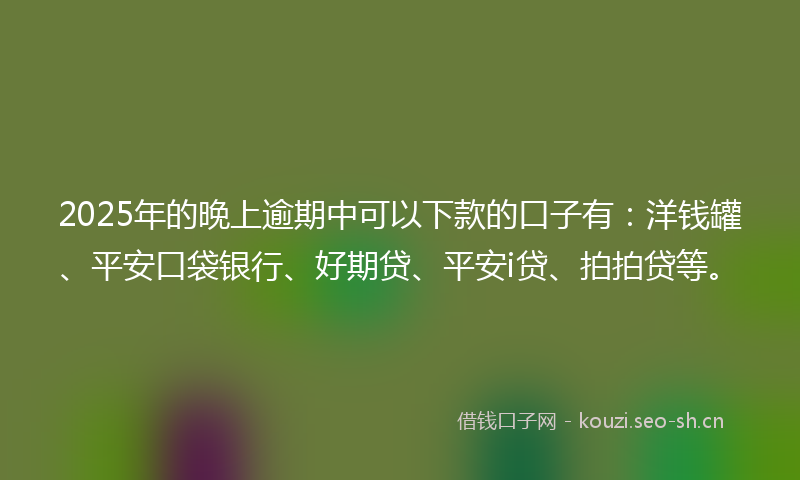 2025年的晚上逾期中可以下款的口子有：洋钱罐、平安口袋银行、好期贷、平安i贷、拍拍贷等。