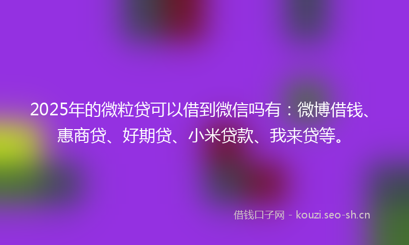 2025年的微粒贷可以借到微信吗有：微博借钱、惠商贷、好期贷、小米贷款、我来贷等。
