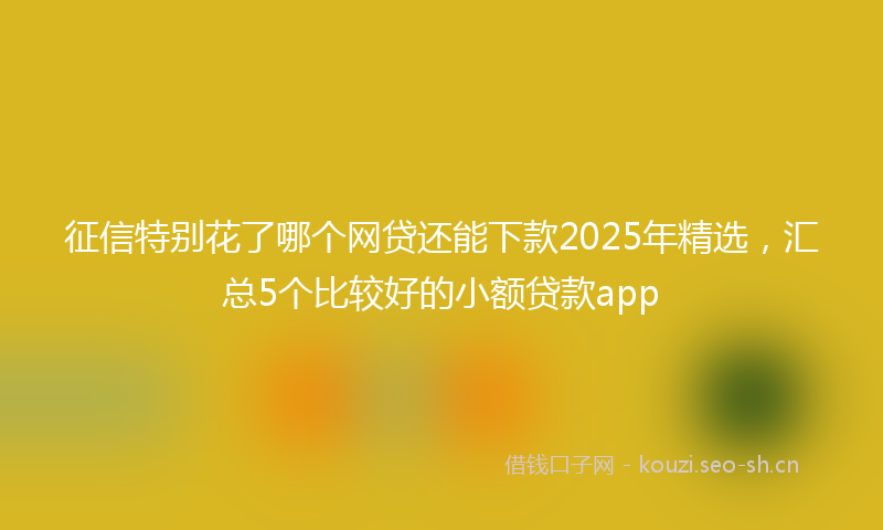 征信特别花了哪个网贷还能下款2025年精选，汇总5个比较好的小额贷款app