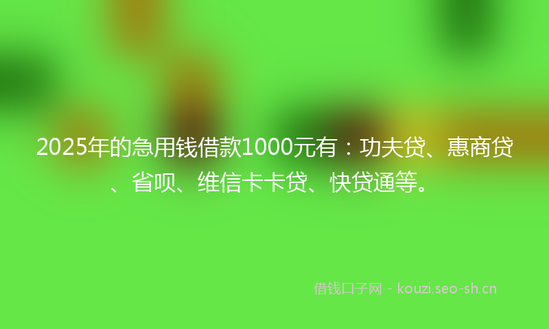 2025年的急用钱借款1000元有：功夫贷、惠商贷、省呗、维信卡卡贷、快贷通等。
