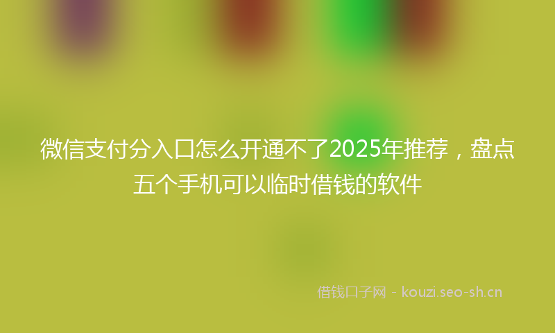 微信支付分入口怎么开通不了2025年推荐，盘点五个手机可以临时借钱的软件