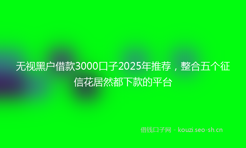 无视黑户借款3000口子2025年推荐，整合五个征信花居然都下款的平台