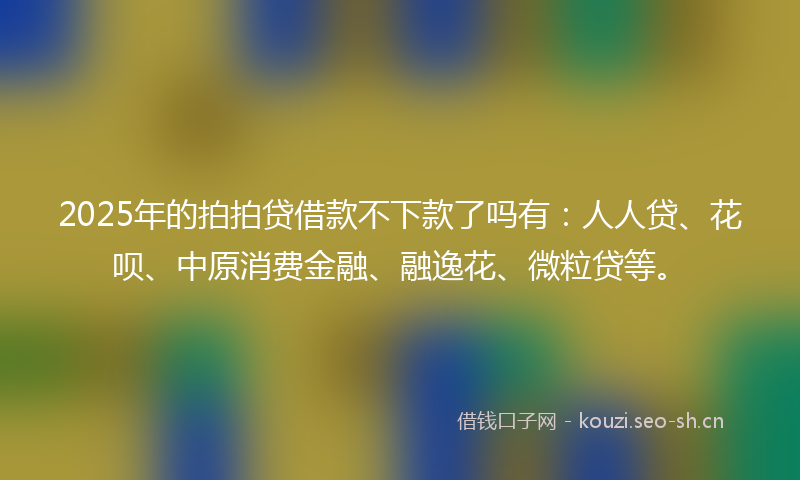 2025年的拍拍贷借款不下款了吗有：人人贷、花呗、中原消费金融、融逸花、微粒贷等。