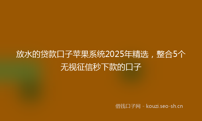 放水的贷款口子苹果系统2025年精选，整合5个无视征信秒下款的口子