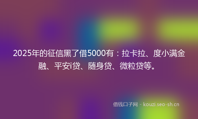 2025年的征信黑了借5000有：拉卡拉、度小满金融、平安i贷、随身贷、微粒贷等。