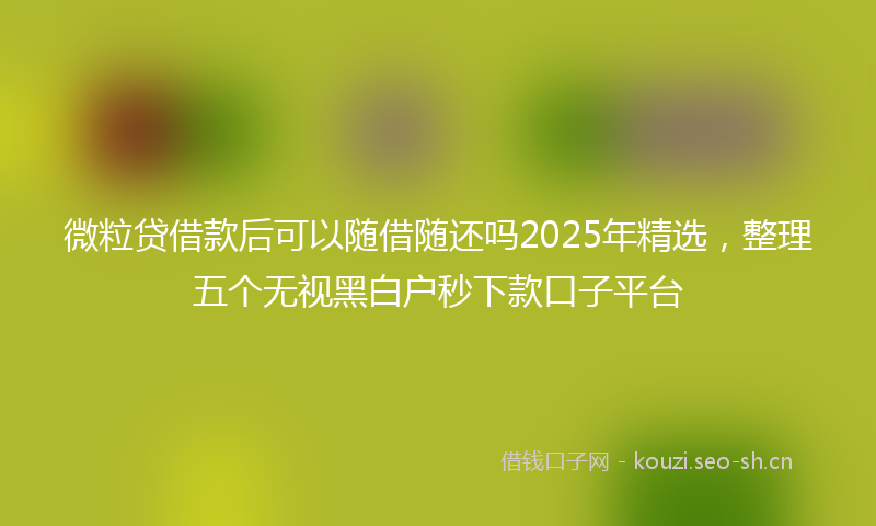 微粒贷借款后可以随借随还吗2025年精选，整理五个无视黑白户秒下款口子平台