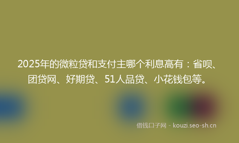 2025年的微粒贷和支付主哪个利息高有：省呗、团贷网、好期贷、51人品贷、小花钱包等。
