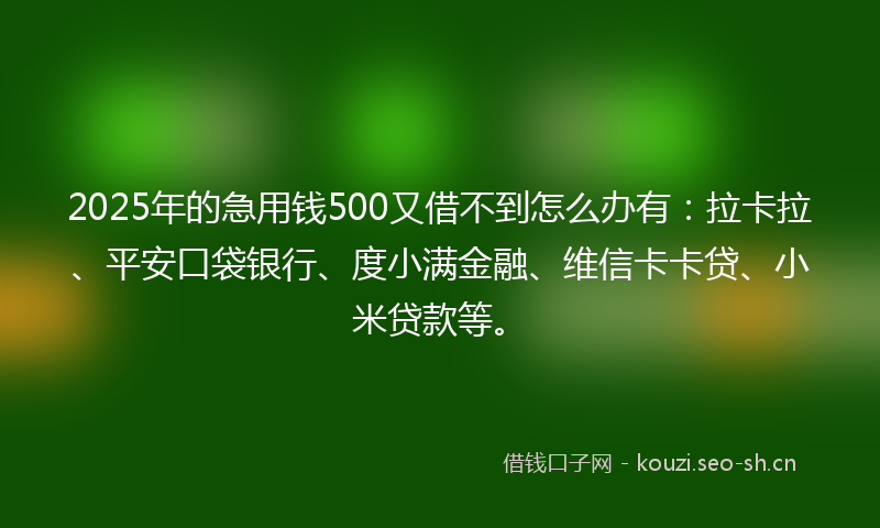 2025年的急用钱500又借不到怎么办有：拉卡拉、平安口袋银行、度小满金融、维信卡卡贷、小米贷款等。