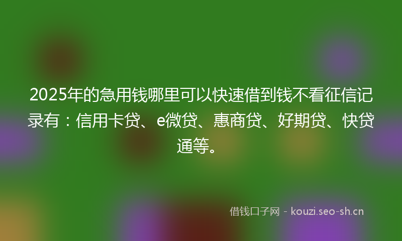 2025年的急用钱哪里可以快速借到钱不看征信记录有：信用卡贷、e微贷、惠商贷、好期贷、快贷通等。
