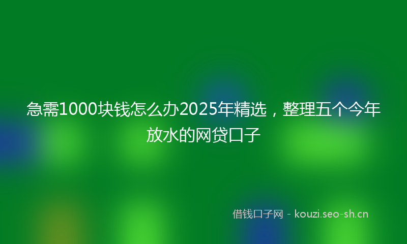 急需1000块钱怎么办2025年精选，整理五个今年放水的网贷口子