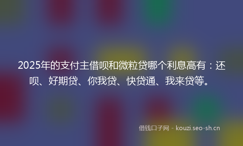 2025年的支付主借呗和微粒贷哪个利息高有：还呗、好期贷、你我贷、快贷通、我来贷等。