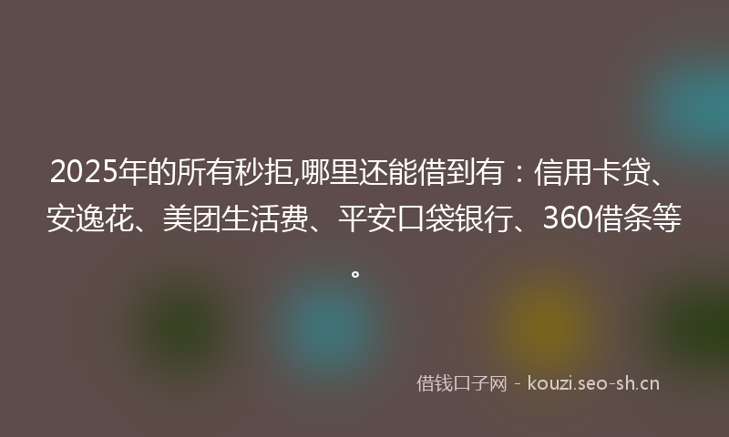 2025年的所有秒拒,哪里还能借到有：信用卡贷、安逸花、美团生活费、平安口袋银行、360借条等。