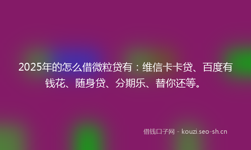 2025年的怎么借微粒贷有：维信卡卡贷、百度有钱花、随身贷、分期乐、替你还等。