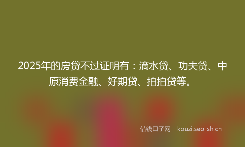 2025年的房贷不过证明有：滴水贷、功夫贷、中原消费金融、好期贷、拍拍贷等。