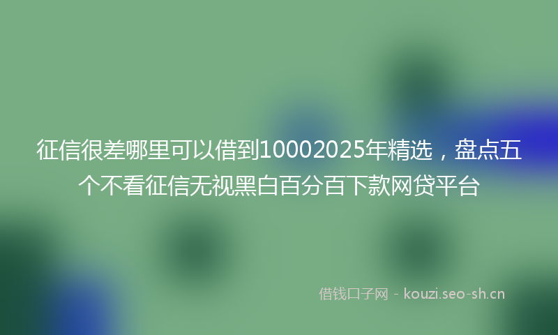 征信很差哪里可以借到10002025年精选，盘点五个不看征信无视黑白百分百下款网贷平台