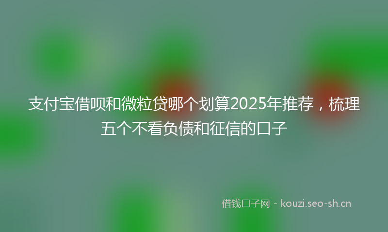 支付宝借呗和微粒贷哪个划算2025年推荐，梳理五个不看负债和征信的口子