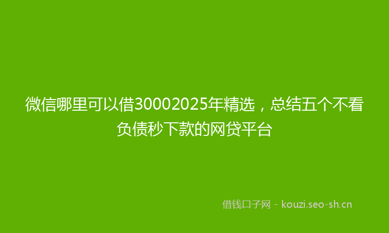 微信哪里可以借30002025年精选，总结五个不看负债秒下款的网贷平台