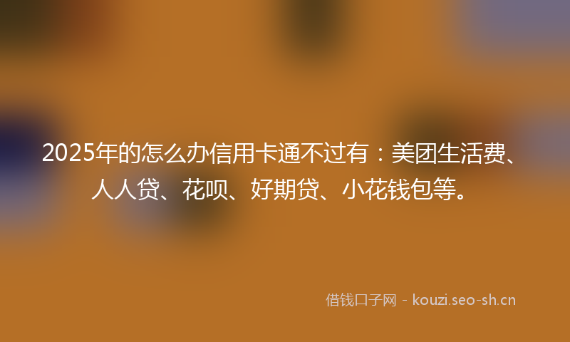 2025年的怎么办信用卡通不过有：美团生活费、人人贷、花呗、好期贷、小花钱包等。