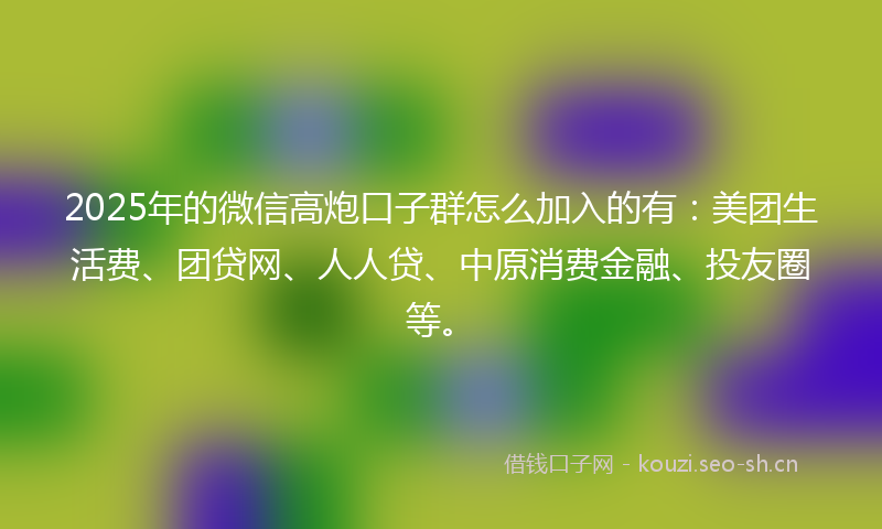 2025年的微信高炮口子群怎么加入的有：美团生活费、团贷网、人人贷、中原消费金融、投友圈等。