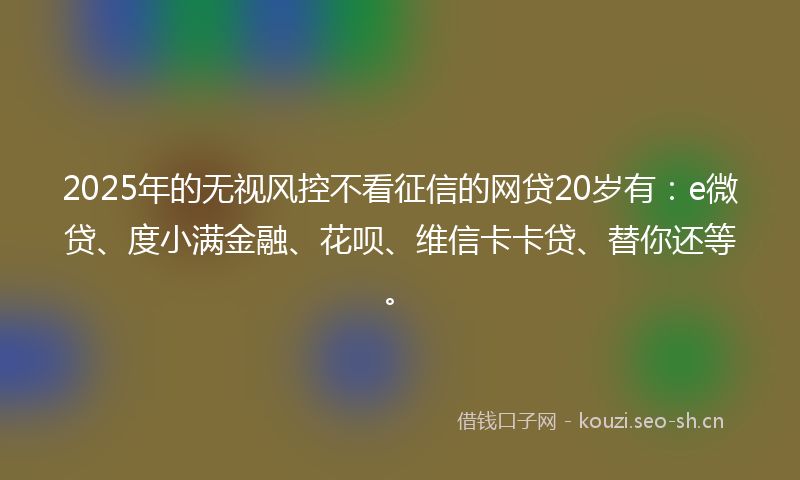2025年的无视风控不看征信的网贷20岁有：e微贷、度小满金融、花呗、维信卡卡贷、替你还等。