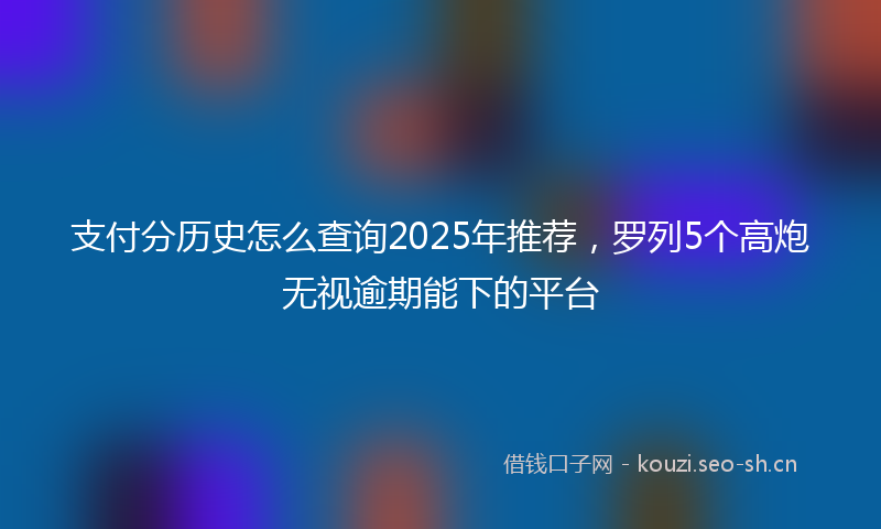 支付分历史怎么查询2025年推荐，罗列5个高炮无视逾期能下的平台
