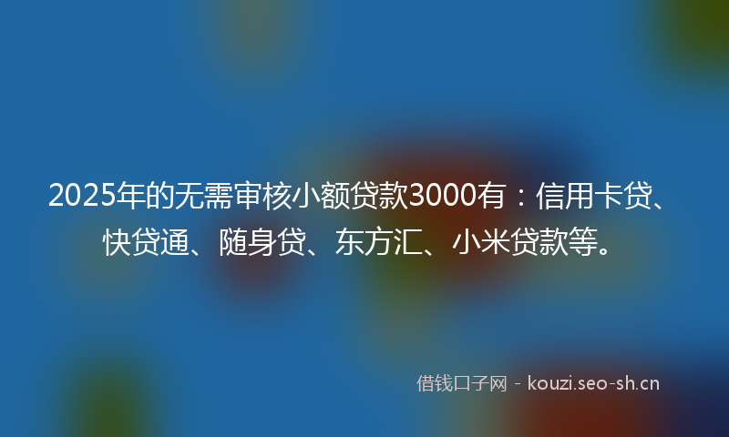 2025年的无需审核小额贷款3000有：信用卡贷、快贷通、随身贷、东方汇、小米贷款等。