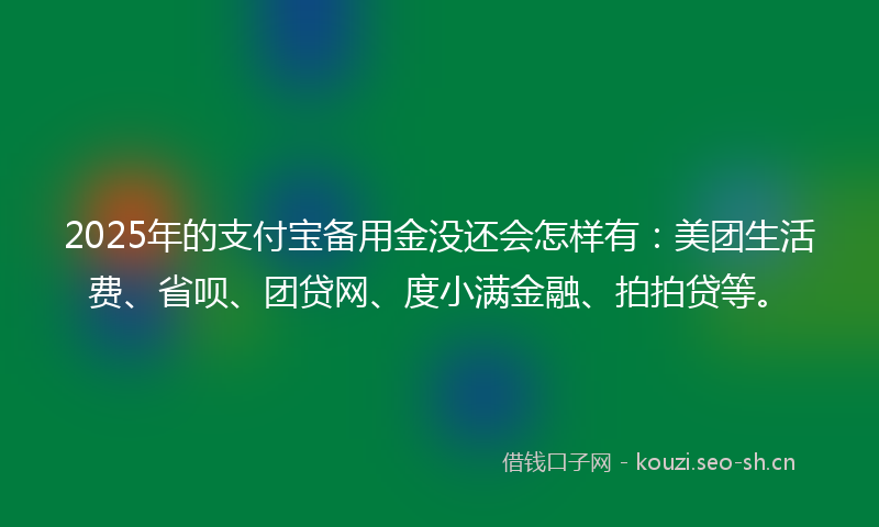 2025年的支付宝备用金没还会怎样有:美团生活费、省呗、团贷网、度小满金融、拍拍贷等。