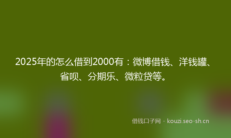 2025年的怎么借到2000有：微博借钱、洋钱罐、省呗、分期乐、微粒贷等。