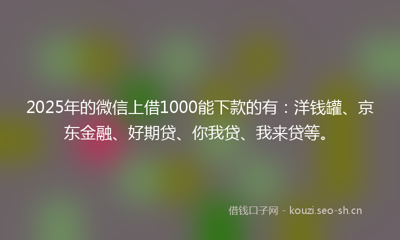 2025年的微信上借1000能下款的有:洋钱罐、京东金融、好期贷、你我贷、我来贷等。