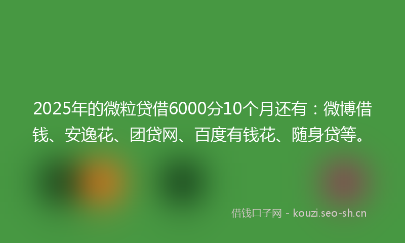 2025年的微粒贷借6000分10个月还有：微博借钱、安逸花、团贷网、百度有钱花、随身贷等。