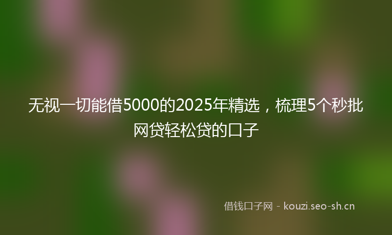 无视一切能借5000的2025年精选，梳理5个秒批网贷轻松贷的口子