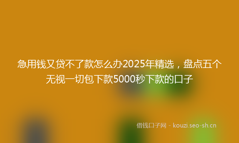 急用钱又贷不了款怎么办2025年精选，盘点五个无视一切包下款5000秒下款的口子