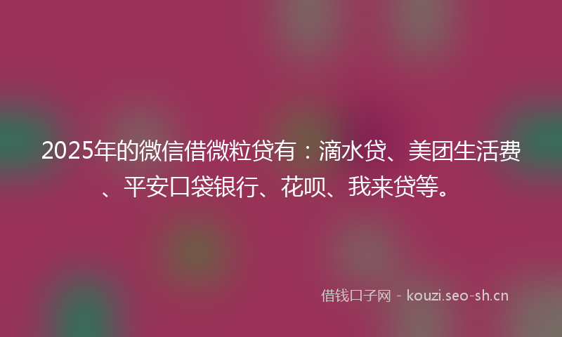 2025年的微信借微粒贷有：滴水贷、美团生活费、平安口袋银行、花呗、我来贷等。