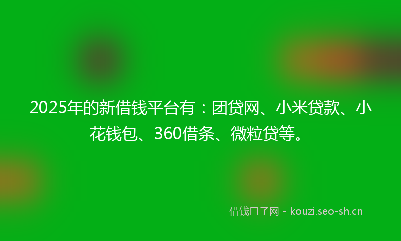 2025年的新借钱平台有：团贷网、小米贷款、小花钱包、360借条、微粒贷等。