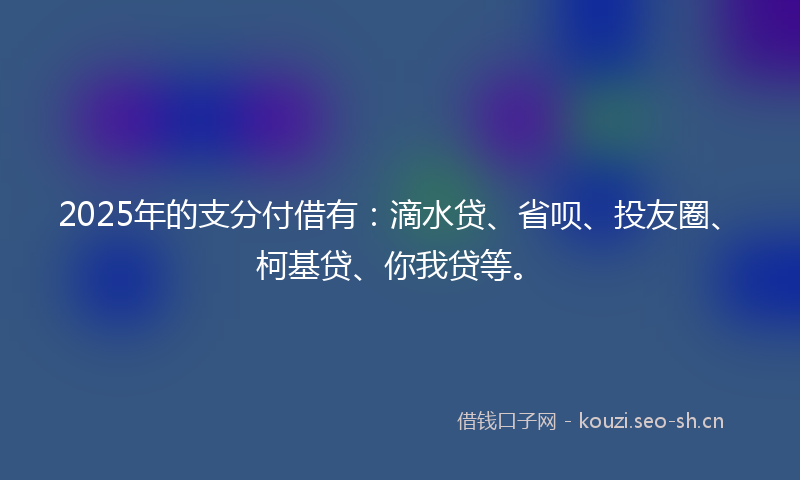 2025年的支分付借有：滴水贷、省呗、投友圈、柯基贷、你我贷等。
