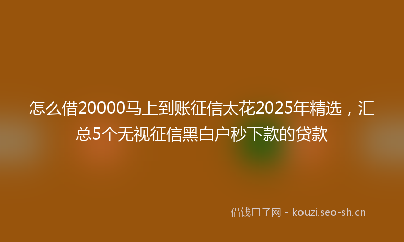 怎么借20000马上到账征信太花2025年精选，汇总5个无视征信黑白户秒下款的贷款