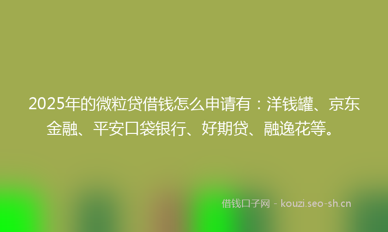 2025年的微粒贷借钱怎么申请有：洋钱罐、京东金融、平安口袋银行、好期贷、融逸花等。