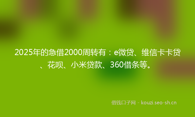 2025年的急借2000周转有：e微贷、维信卡卡贷、花呗、小米贷款、360借条等。