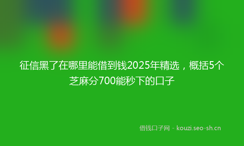 征信黑了在哪里能借到钱2025年精选，概括5个芝麻分700能秒下的口子